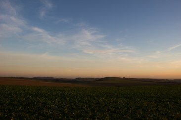 Cissbury Ring, Church Hill and Blackpatch Hill
